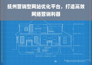 抚州营销型网站优化平台，打造高效网络营销利器