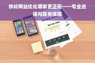 铁岭网站优化哪家更正规——专业选择与服务保障