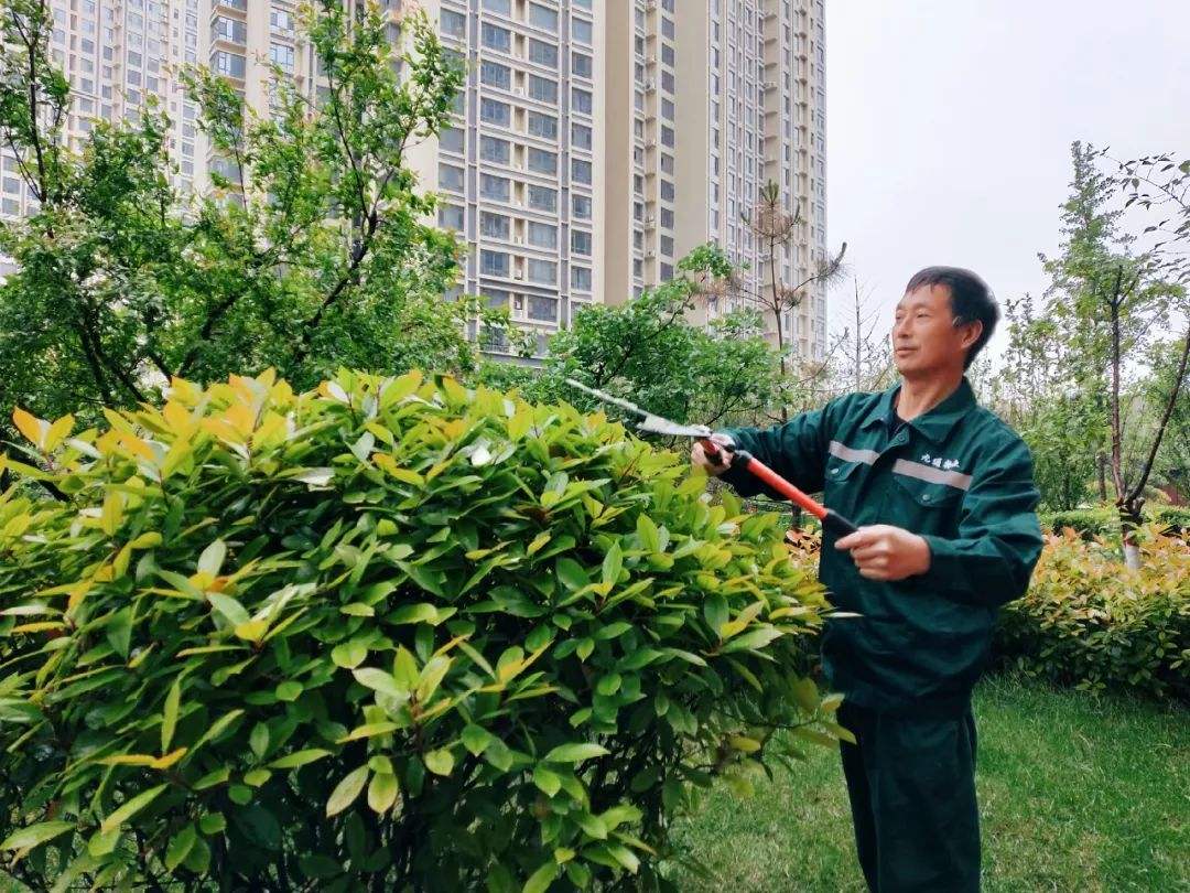 最美物业人的范文 最美物业人的范文保安篇