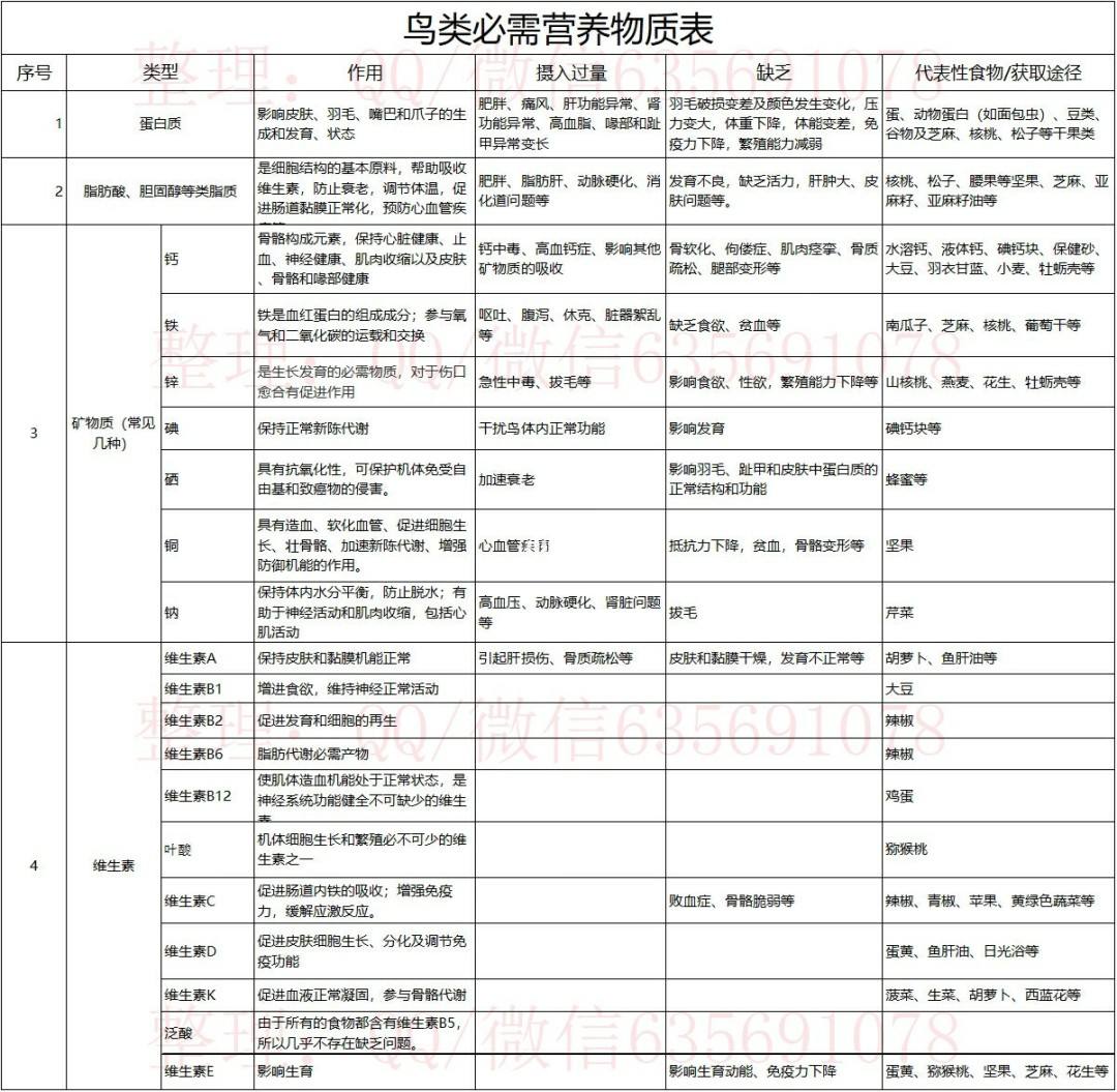 鸟的营养价值 青庄鸟的营养价值