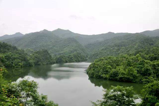 绿水是什么生肖 绿水青山人人爱是什么生肖