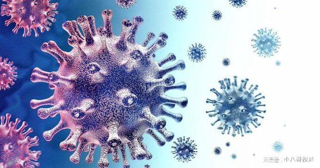 新冠病毒是指哪些 新冠病毒是指哪些疾病