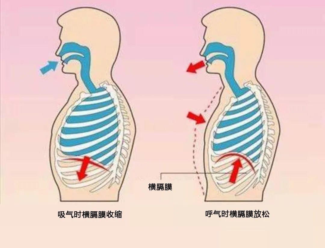 瑜伽努力呼吸法的好处