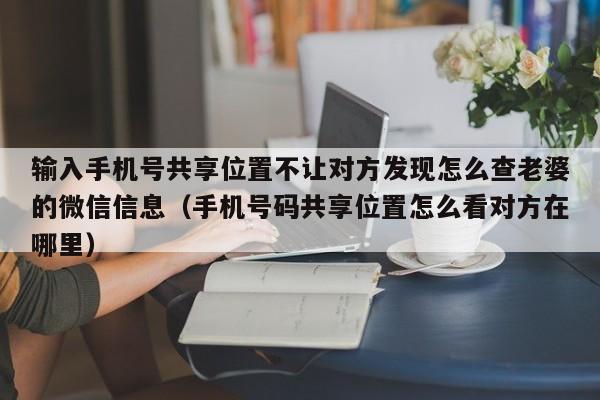 输入手机号共享位置不让对方发现怎么查老婆的微信信息（手机号码共享位置怎么看对方在哪里）