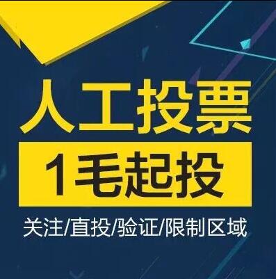 北京微信人工投票价格便宜 微信人工投票10元100票 搜狐