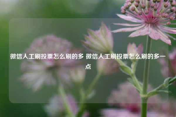 微信人工刷投票怎么刷的多 微信人工刷投票怎么刷的多一点