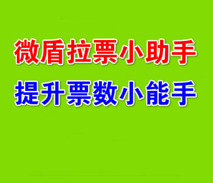 微信人工投票0.05一票 微信人工投票70元1000票