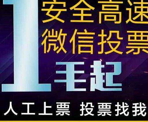 江苏微信专业人工投票团队 微信软件投票和人工投票区别