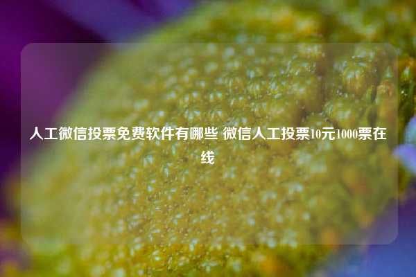 人工微信投票免费软件有哪些 微信人工投票10元1000票在线