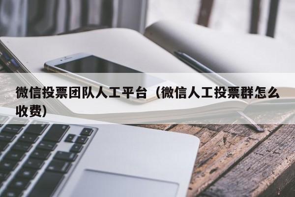 微信投票团队人工平台（微信人工投票群怎么收费）