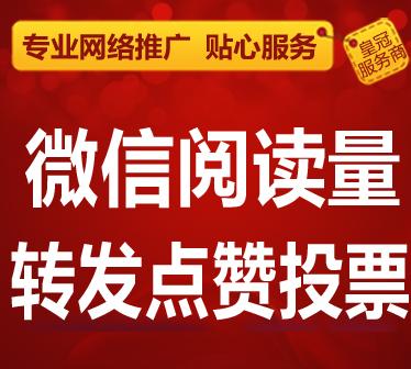 微信人工投票哪个比较靠谱 微信人工投票10元100票搜狐