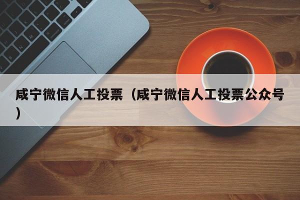 咸宁微信人工投票（咸宁微信人工投票公众号）