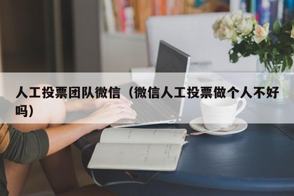 人工投票团队微信（微信人工投票做个人不好吗）