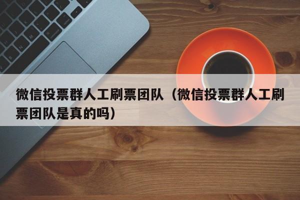 微信投票群人工刷票团队（微信投票群人工刷票团队是真的吗）