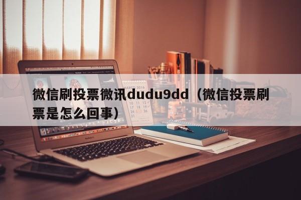 微信刷投票微讯dudu9dd（微信投票刷票是怎么回事）