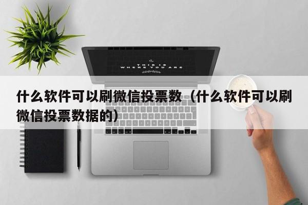 什么软件可以刷微信投票数（什么软件可以刷微信投票数据的）