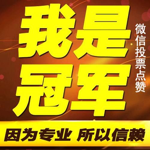 微信投票软件多少钱一票 一般微信投票价格是多少,微信投票500多少钱