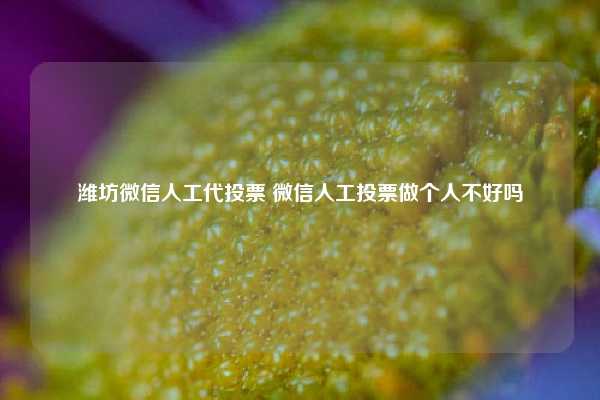 潍坊微信人工代投票 微信人工投票做个人不好吗