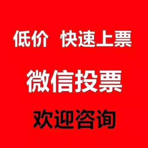 广东微信人工投票 广东微信人工投票怎么投