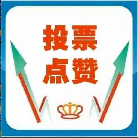 微信人工投票哪家最便宜 微信人工投票10元100票 搜狐