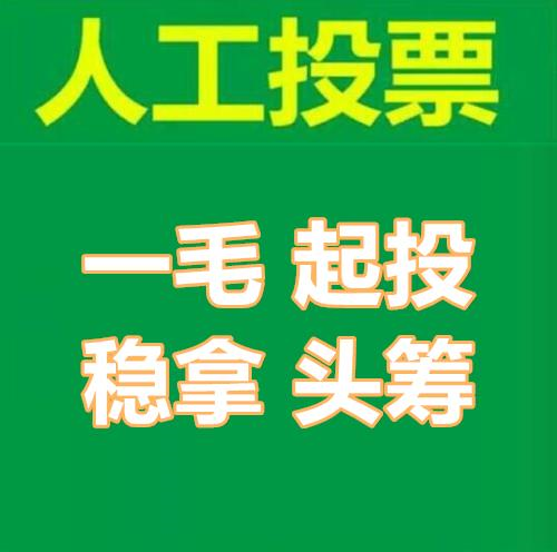 人工投票是怎么弄的 人工投票任务平台有哪些