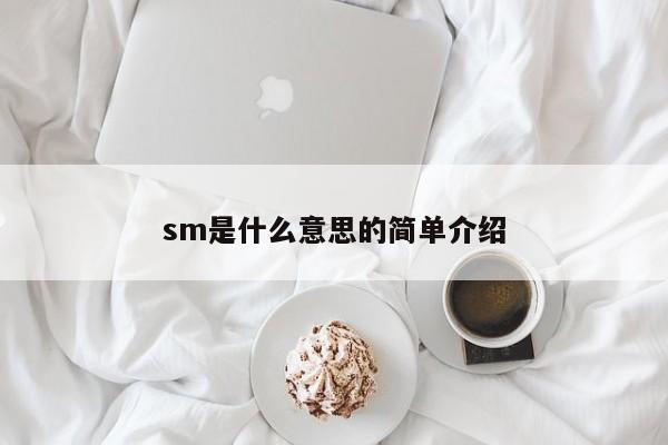 sm是什么意思的简单介绍