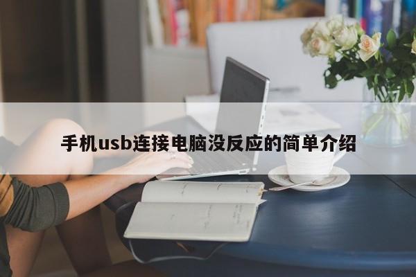 手机usb连接电脑没反应的简单介绍