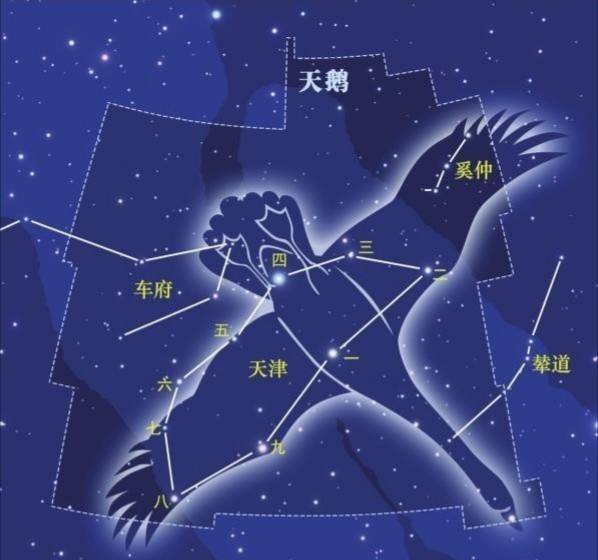 【织女星在什么星座上】织女星属于什么星座?