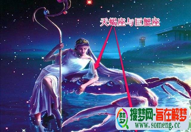 【巨蟹座是水象星座之首】巨蟹座是水象星座之首吗