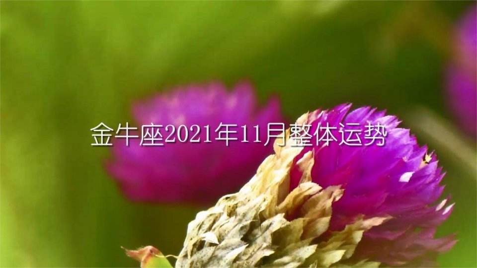 【2021年金牛座几月到几月】2021金牛座是几月几日到几月几日日