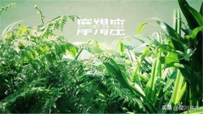 【摩羯座性格特征】摩羯座性格特征男