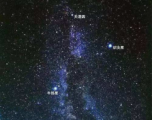 关于织女星位于哪个星座之中的信息