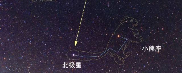 【现在北极星位于哪个星座】现在北极星位于哪个星座的北方