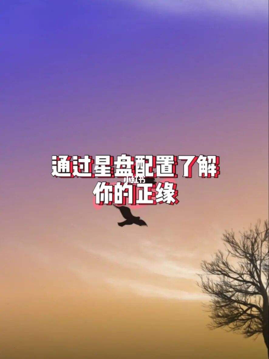 【星座正缘查询】怎么看正缘星座