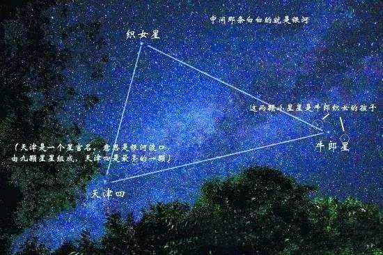 【织女座是什么星座】织女属于哪一个星座