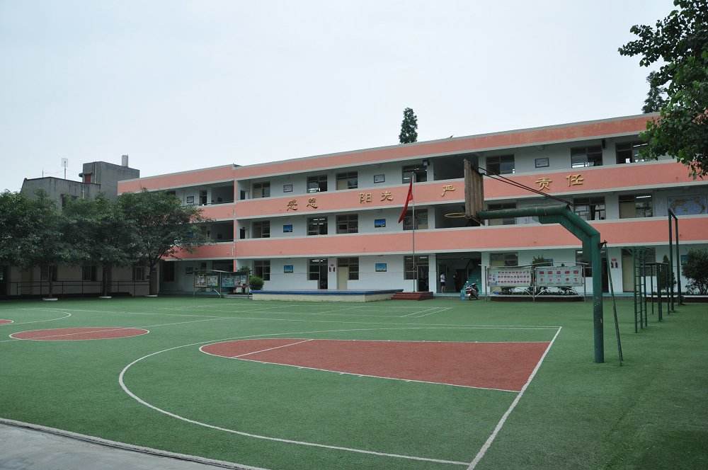 金牛区小学 金牛区小学有多少所小学