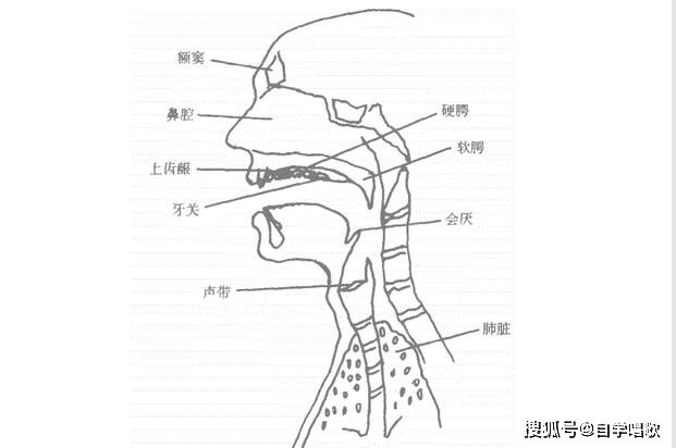 如何发声 如何发声声音洪亮