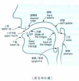 如何发声 如何发声声音洪亮