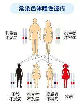 代谢疾病 代谢疾病有哪些种类