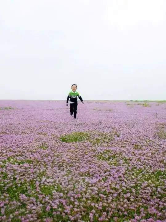 都昌雨季去哪玩 昌都雨季在几月份