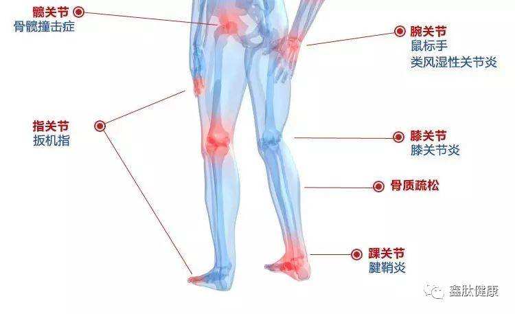 关节疾病 颞下颌关节疾病