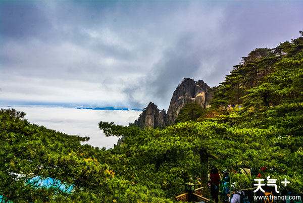 黄山旅游股票 黄山旅游股票代码