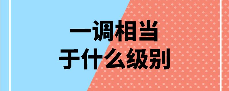 调研员是什么级别 二级调研员是什么级别