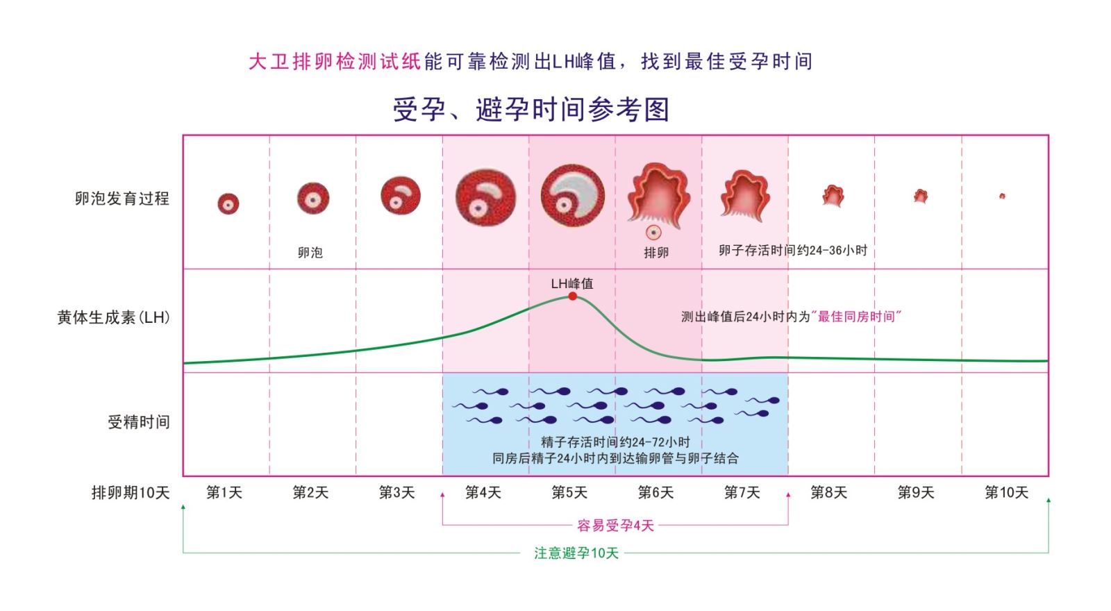 安全期是什么意思 女生所说的安全期是什么意思