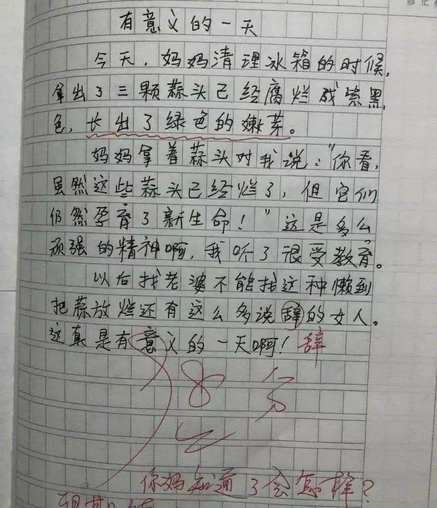 小作文是什么意思 网络小作文是什么意思