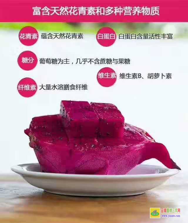 火龙果的营养 火龙果的营养是什么