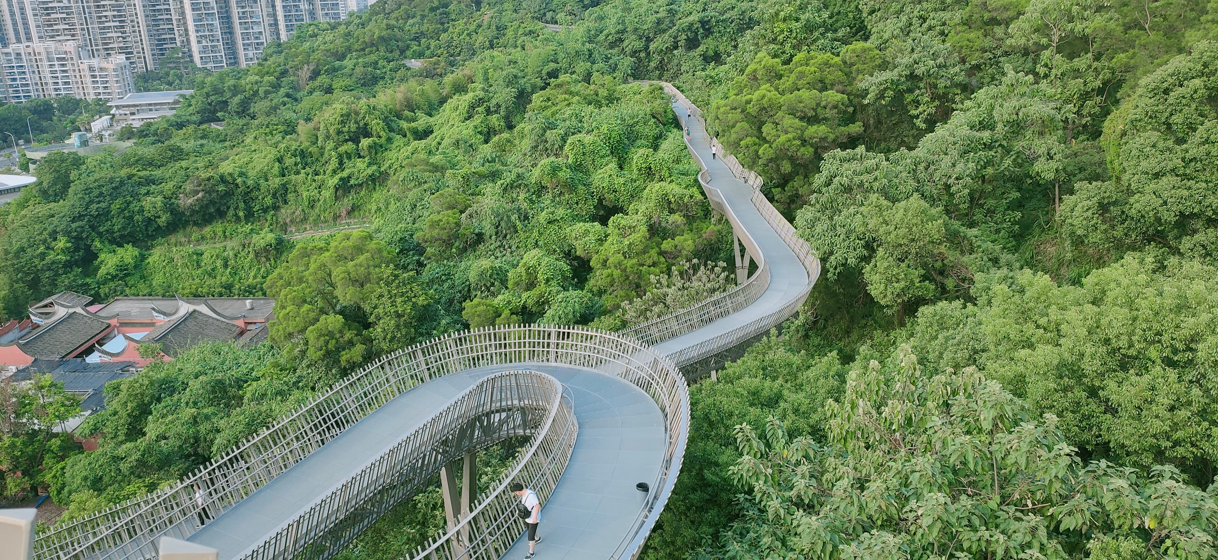 金牛山福道 金牛山福道 三年级