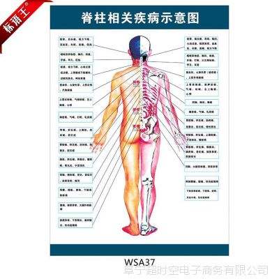 脊柱的相关疾病 脊柱的相关疾病78