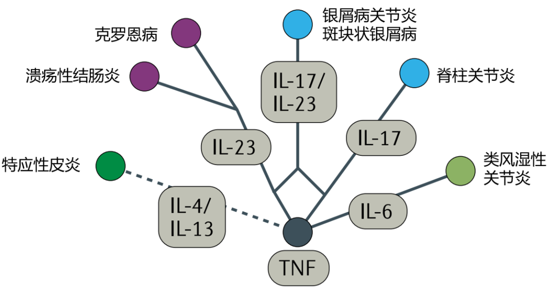 免疫疾病有哪些 全身性免疫疾病有哪些