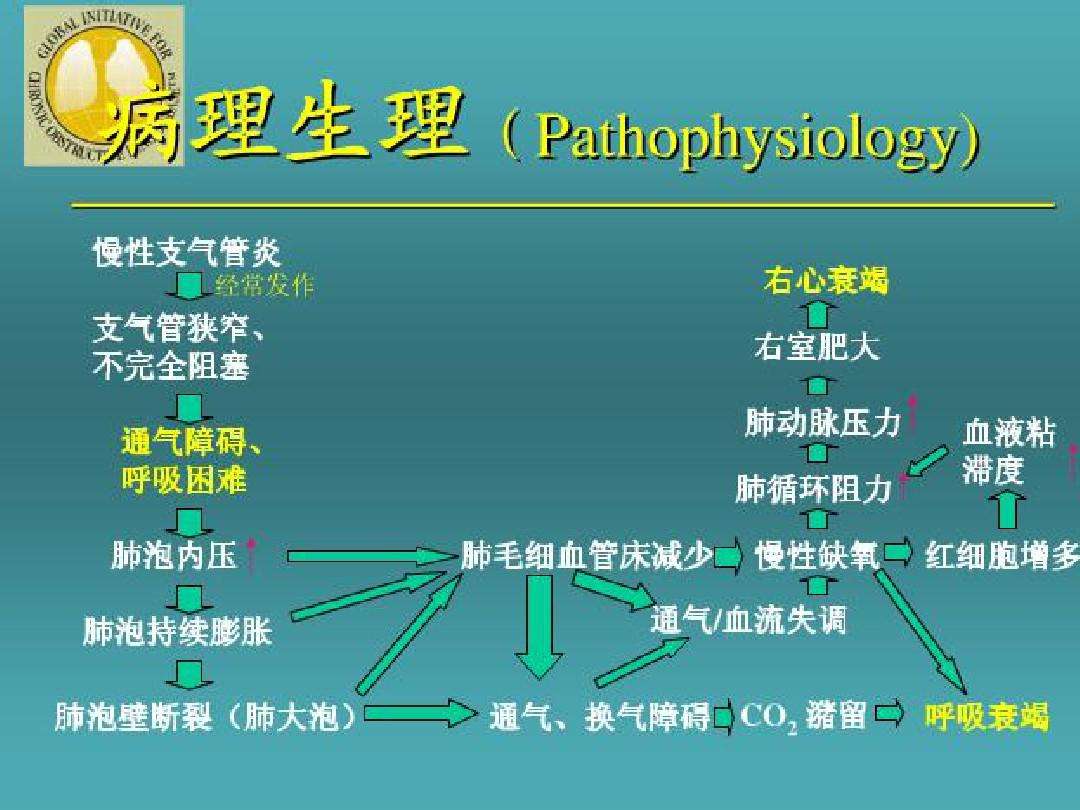 呼吸内科疾病 呼吸内科疾病有哪些